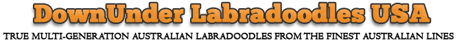 Aggregate Logo